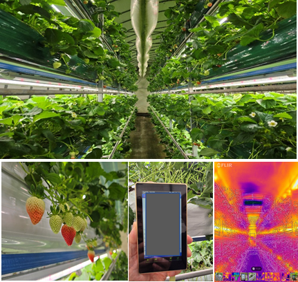 Nonsan validation site